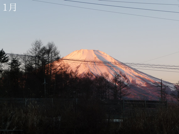 富士山