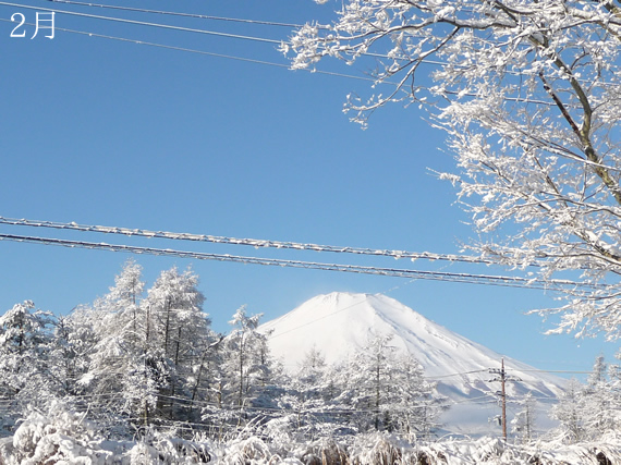 富士山