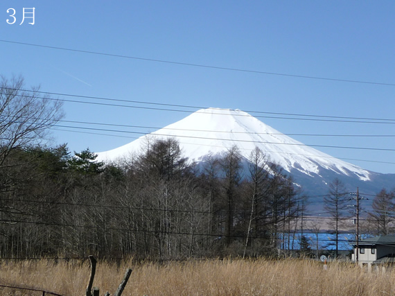 富士山