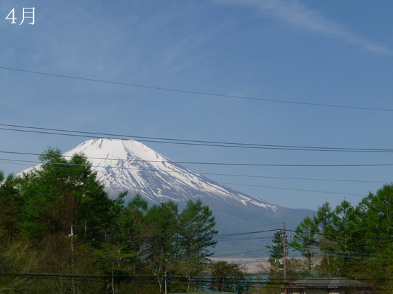 富士山