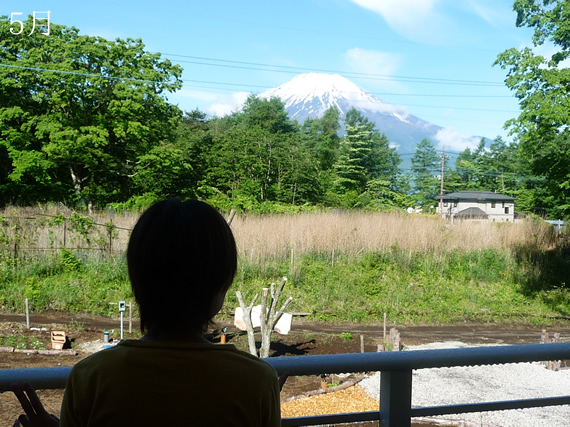 富士山