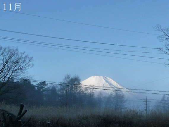 富士山