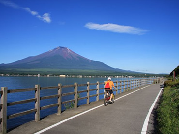 写真：サイクリングロード