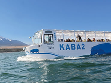 写真：水陸両用バス　山中湖のカバ