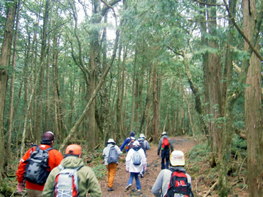 写真：山中湖ハイキングコース